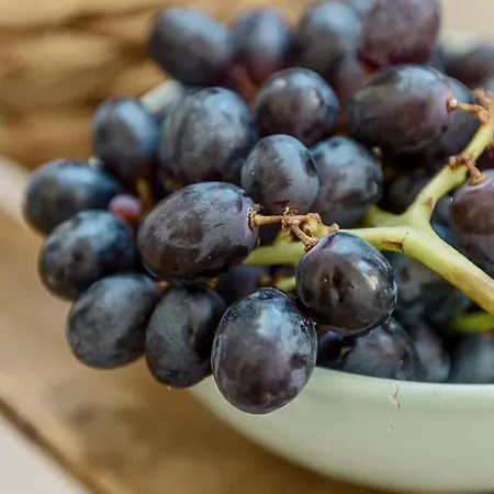 아파트 All2gether 리스본