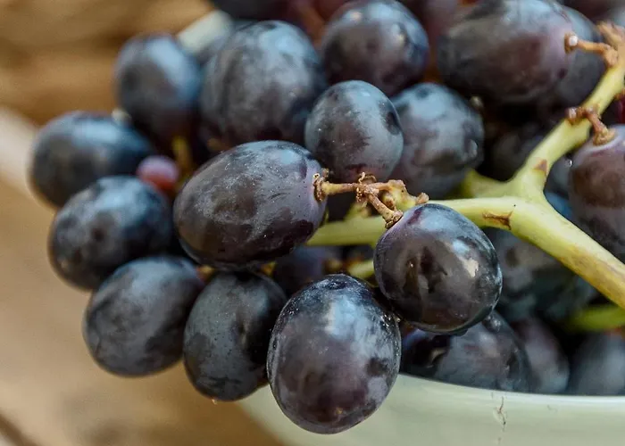 Apartman All2gether Lisboa